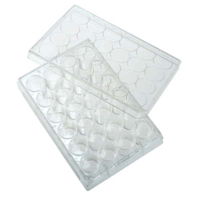 Bellco 24 Well Tissue Culture Plate, 100/Case 2291-24000