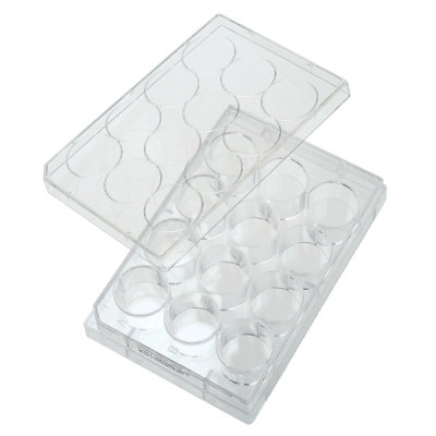 Bellco 12 Well Tissue Culture Plate, 100/Case 2291-12000