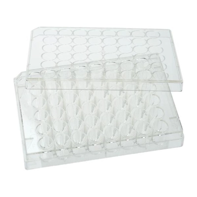 Bellco 48 Well Tissue Culture Plate, 100/Case 2291-48000