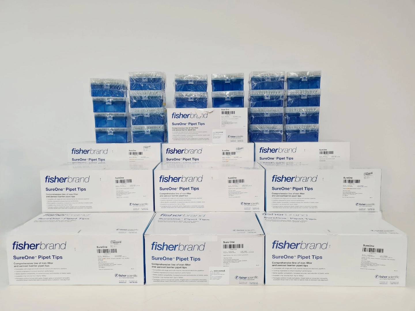 17 Boxes of Mixed FisherBrand SureOne Pipet Tips Non filter + Aerosol Barrier