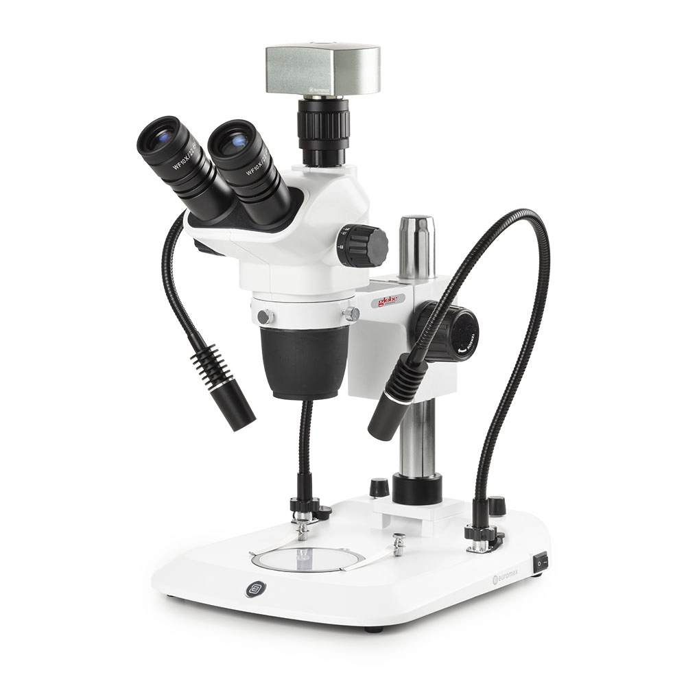 Trinocular stereo zoom microscope NexiusZoom EVO, 0.65x to 5.5x zoom objective, magnification from 6.5x to 55x with pillar. Two incident LED illuminations with Gooseneck and one transmitted 3W LED illumination, with CMEX-18 Pro, 18.0MP digital USB-3 camera with 1/2.3 inch CMOS sensor — Qty/Unit: 1