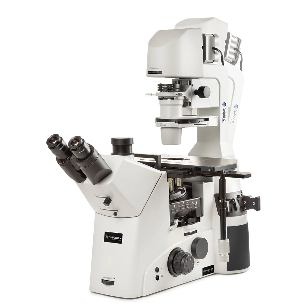 Trinocular Delphi-X Inverso inverted microscope with WF10x/25mm eyepieces and Semi Apochromatic Plan Phase Fluarex Apo-PLPHFi 10x/20x/S40x IOS objectives with 6-positions nosepiece. Rotating disc for phase contrast and DIC prepared. 6-positions fluorescence filters turret without filters or cubes. Transmitted 10W NeoLED adjustable illumination — Qty/Unit: 1