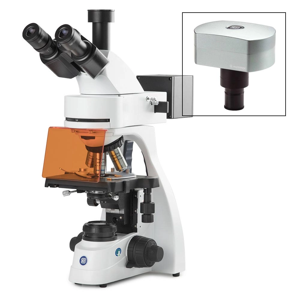 bScope trinocular microscope for LED fluorescence, HWF 10x/22mm eyepieces and quintuple nosepiece with Plan Fluarex PLFI 4/10/S40/S100x oil infinity corrected objectives, 131 x 152/197mm stage with integrated mechanical 75 x 36 mm rackless X-Y stage.3W NeoLED™ Köhler illumination and integrated power supply. Fluorescence attachment with 4 LED's for B, G, V and UV excitation, 4 filter sets. Supplied without rechargeable batteries, with CMEX-18 Pro, 18.0MP digital USB-3 camera with 1/2.3 inch C