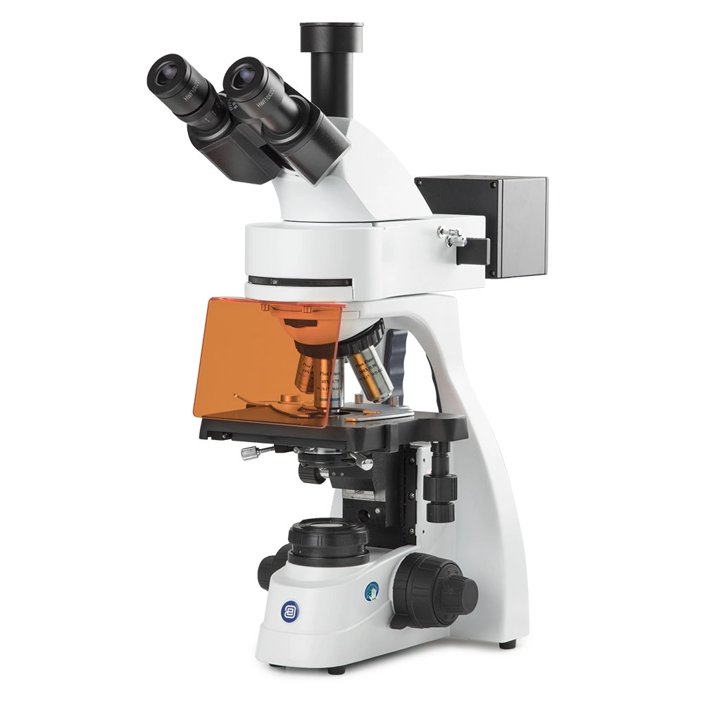 bScope trinocular microscope for LED fluorescence, HWF 10x/22mm eyepieces and quintuple nosepiece with Plan Fluarex PLFI 4/10/S40/S100x oil infinity corrected objectives, 131 x 152/197mm stage with integrated mechanical 75 x 36mm rackless X-Y stage.3W NeoLED™ Köhler illumination and integrated power supply. Fluorescence attachment with 4 LED's for B, G, V and UV excitation, 4 filter sets. Supplied without rechargeable batteries — Qty/Unit: 1