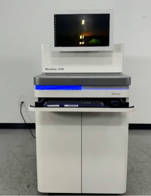Illumina Novaseq 6000