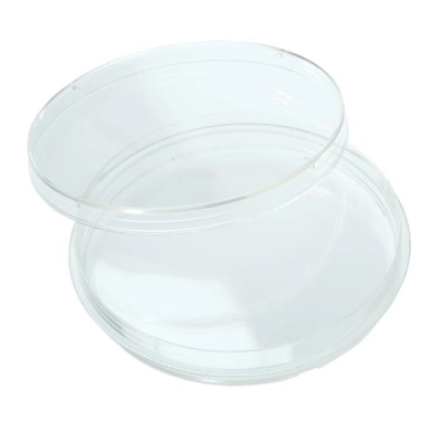 Bellco 100mm x 15mm Petri Dish, 500/Case 2296-93000