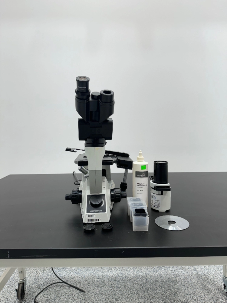 Olympus CKX41SF Inverted Phase Contrast Fluorescence Microscope