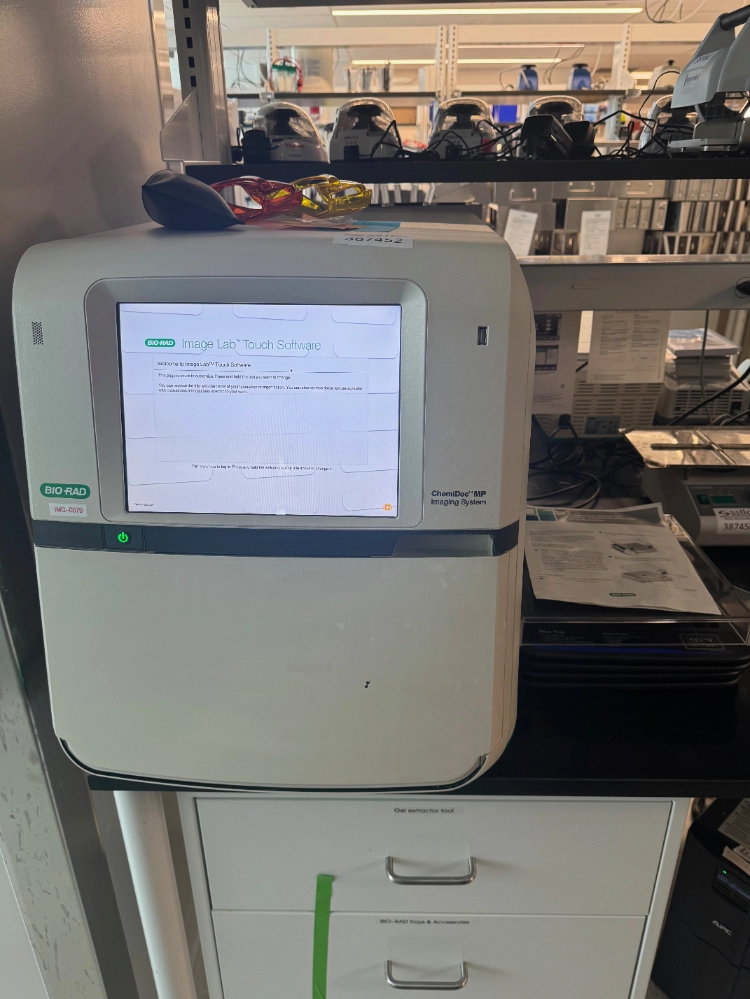 Bio-Rad ChemiDoc MP Imaging System