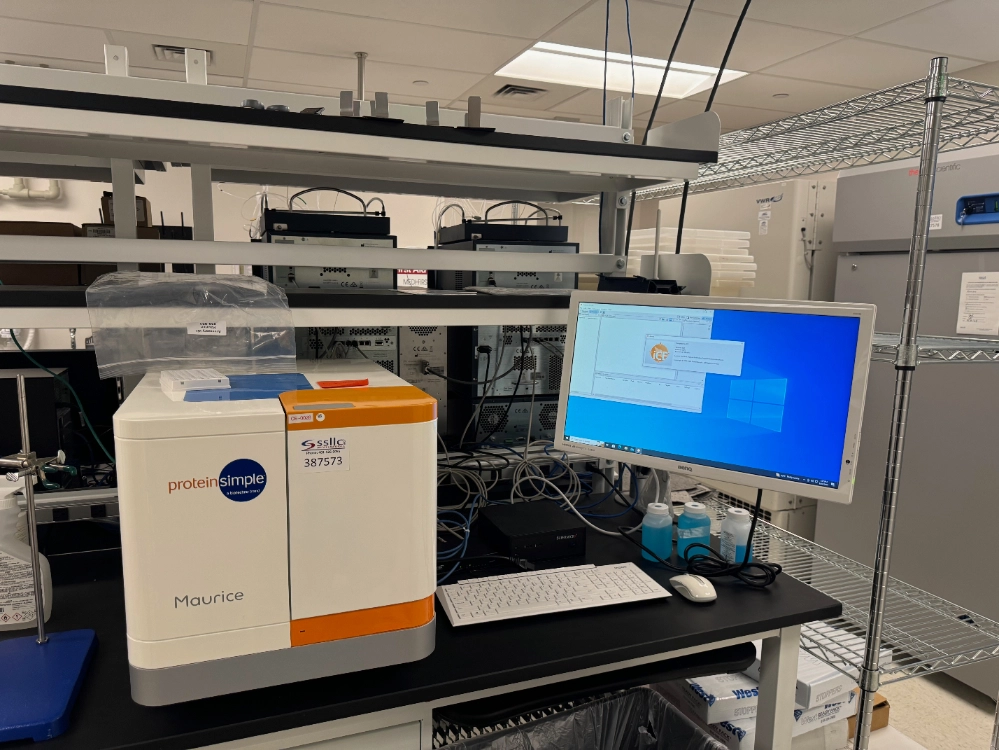 Protein Simple Maurice-OBM Capillary Electrophoresis System