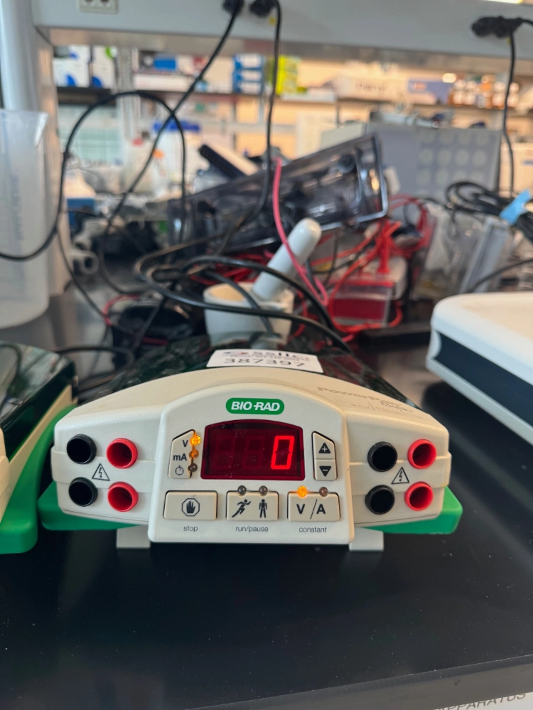 Bio-Rad PowerPac Basic Electrophoresis Power Supply