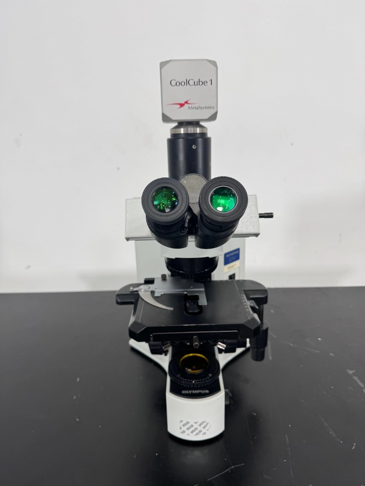 Olympus BX41TF Fluorescence Microscope