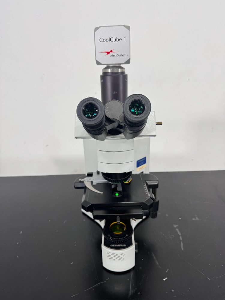 Olympus BX41TF Fluorescence Microscope