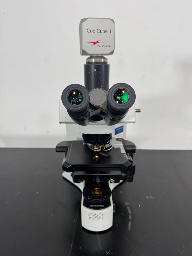 Olympus BX41TF Fluorescence Microscope