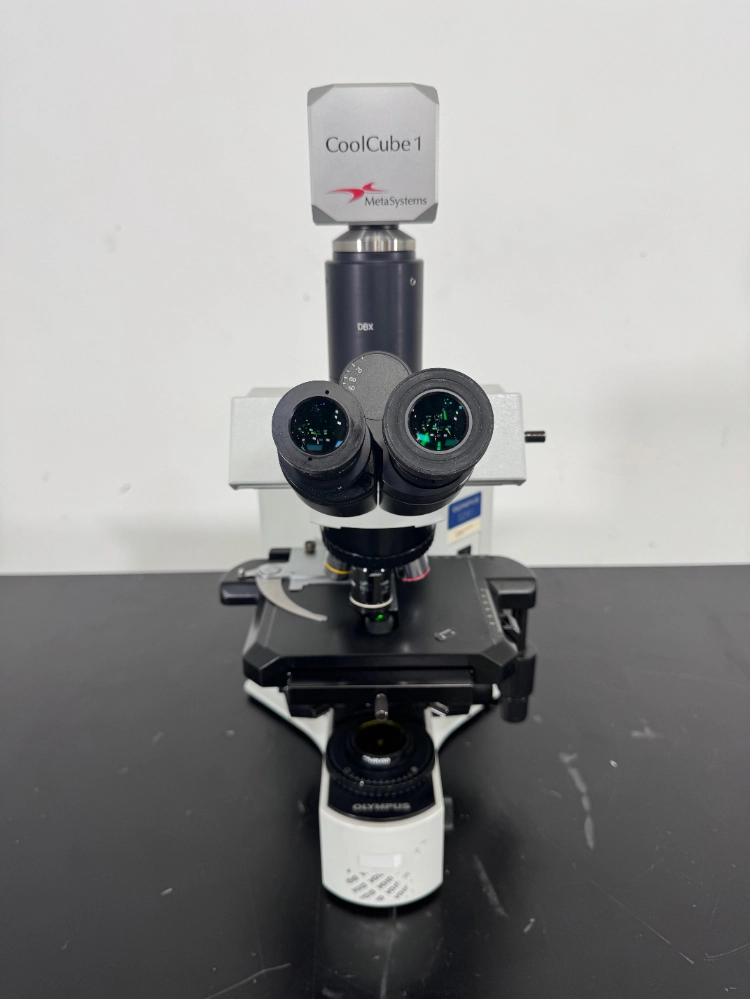 Olympus BX41TF Fluorescence Microscope