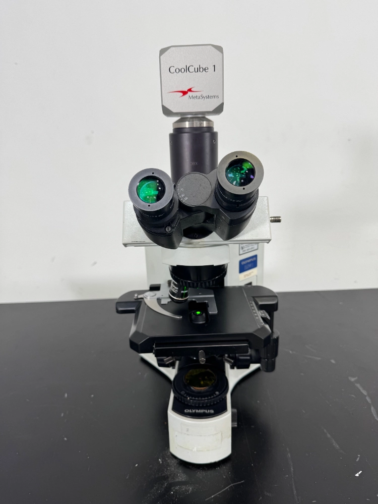 Olympus BX41TF Fluorescence Microscope