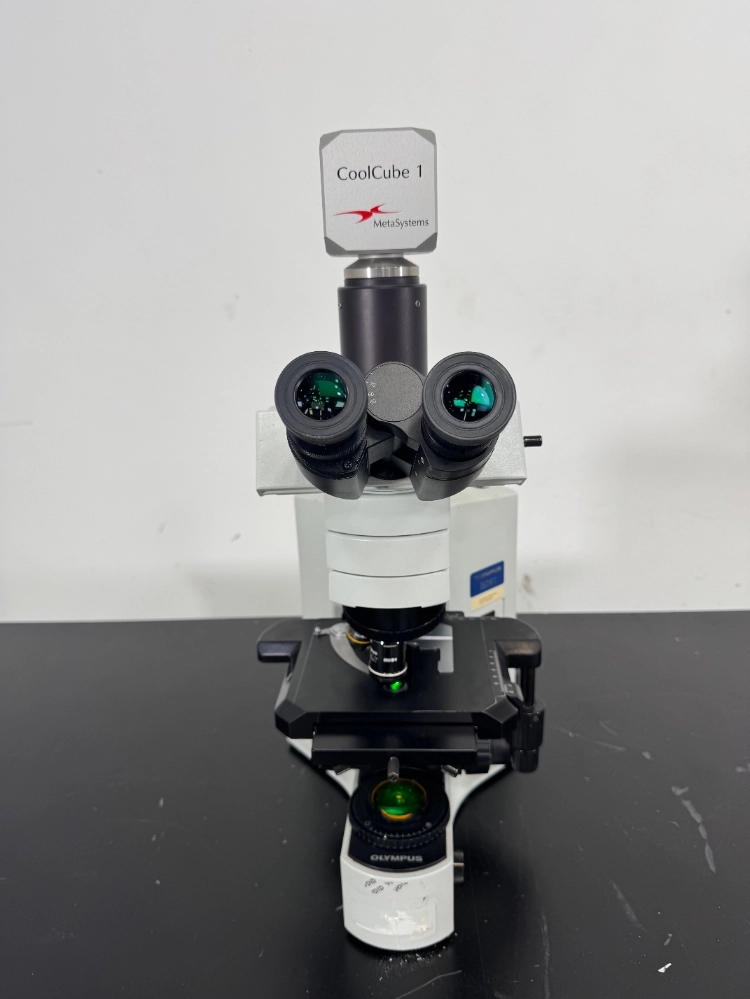 Olympus BX41TF Fluorescence Microscope