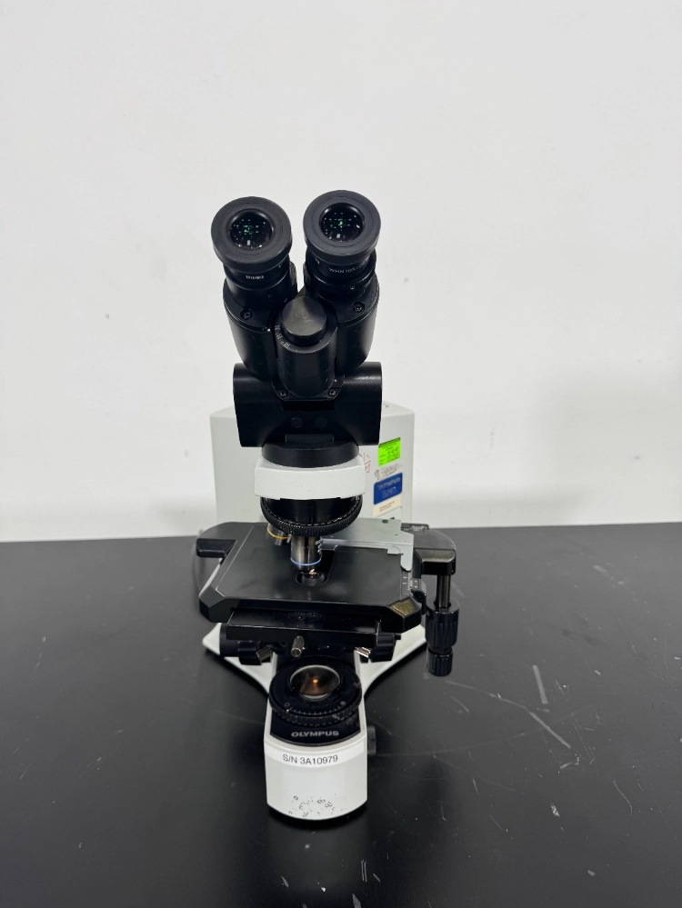 Olympus BX41TF Fluorescence Microscope