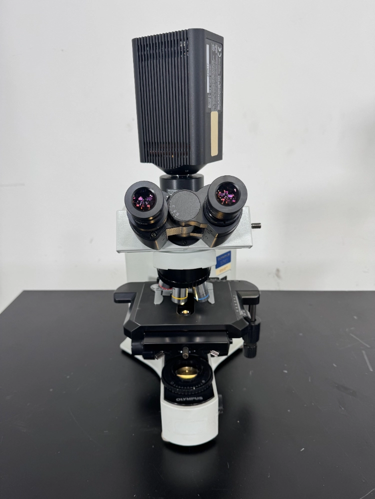 Olympus BX41TF Fluorescence Microscope