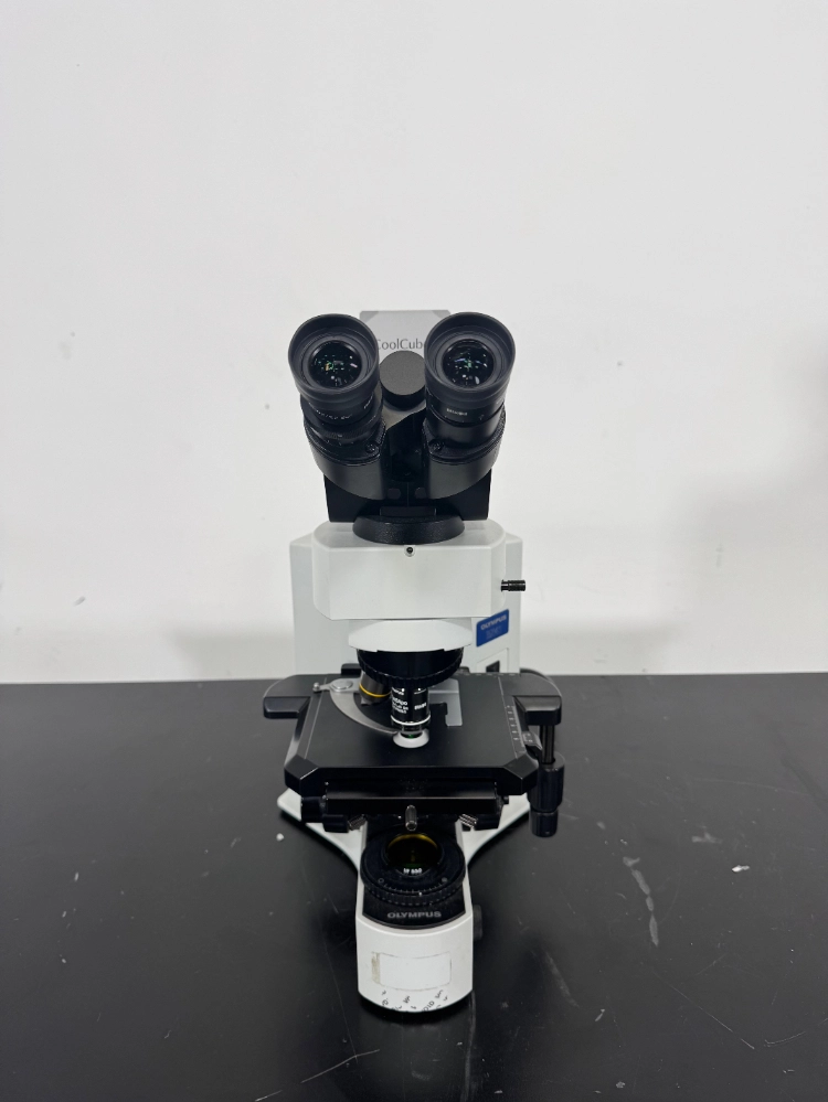 Olympus BX41TF Fluorescence Microscope