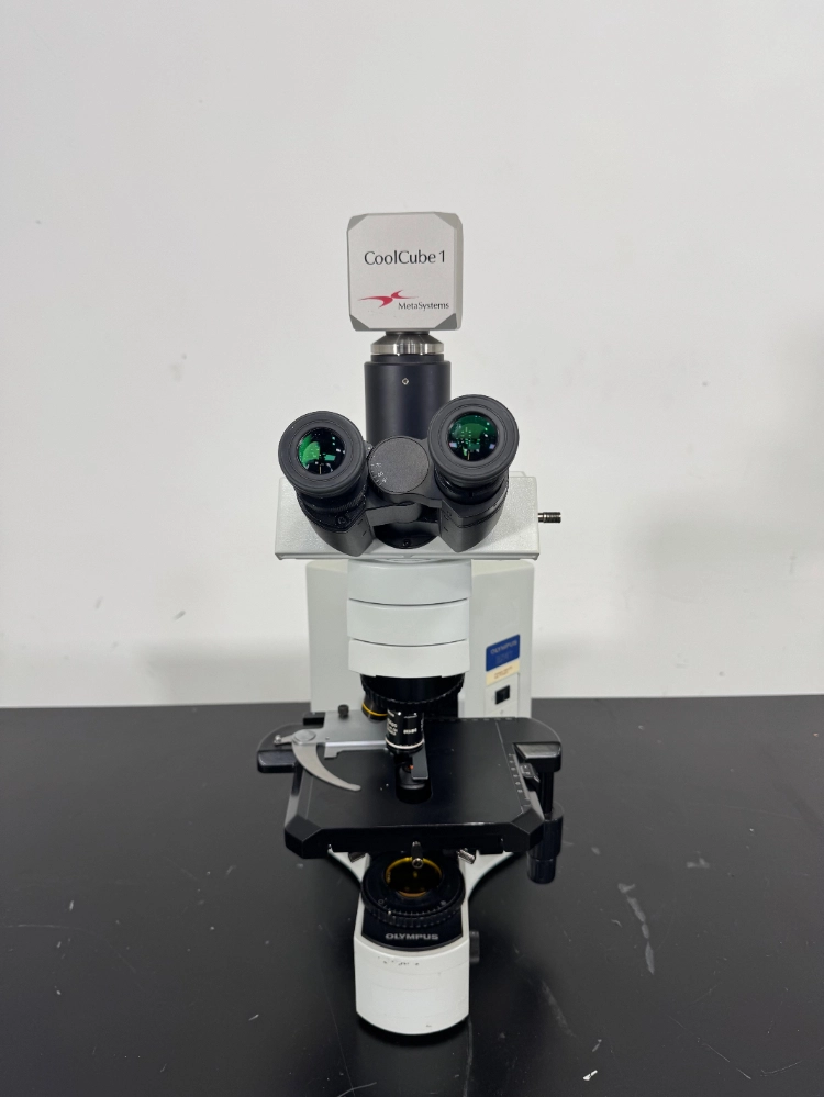 Olympus BX41TF Fluorescence Microscope