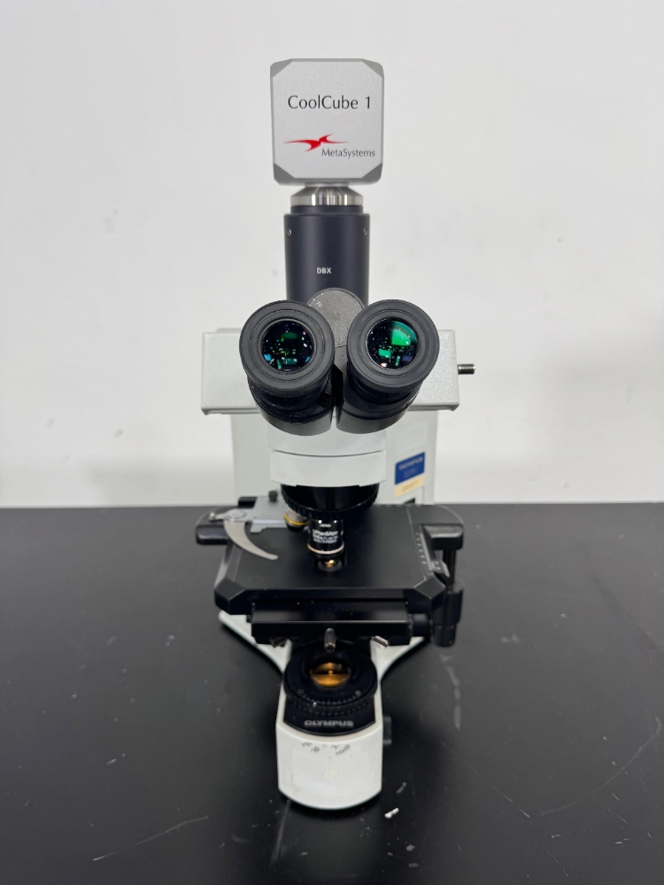 Olympus BX41TF Fluorescence Microscope