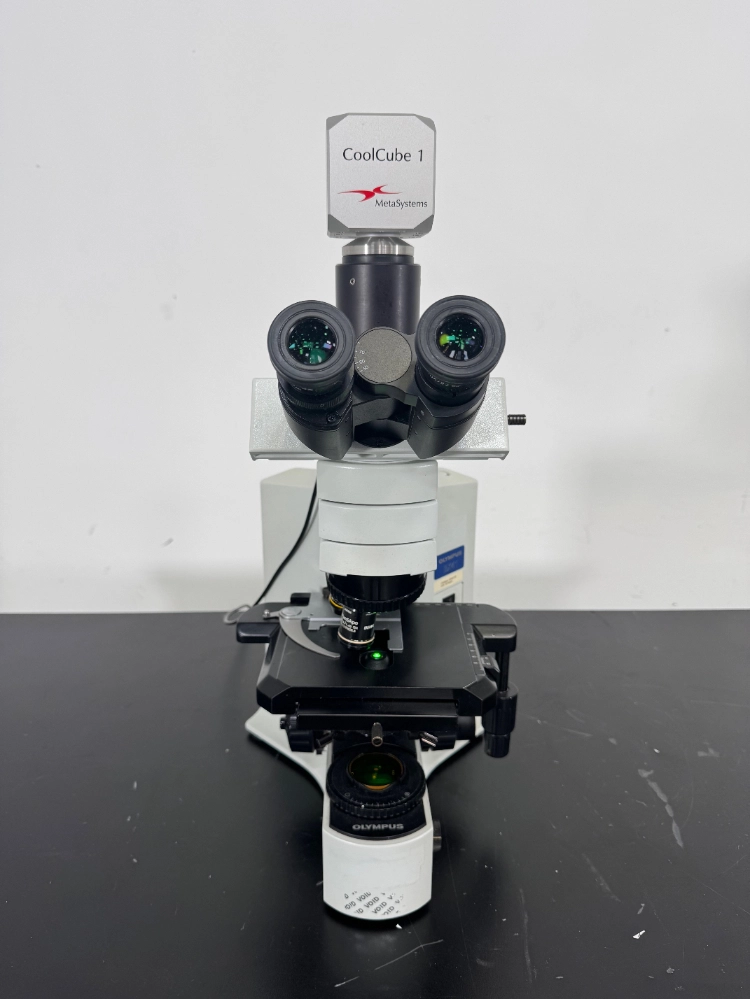 Olympus BX41TF Fluorescence Microscope