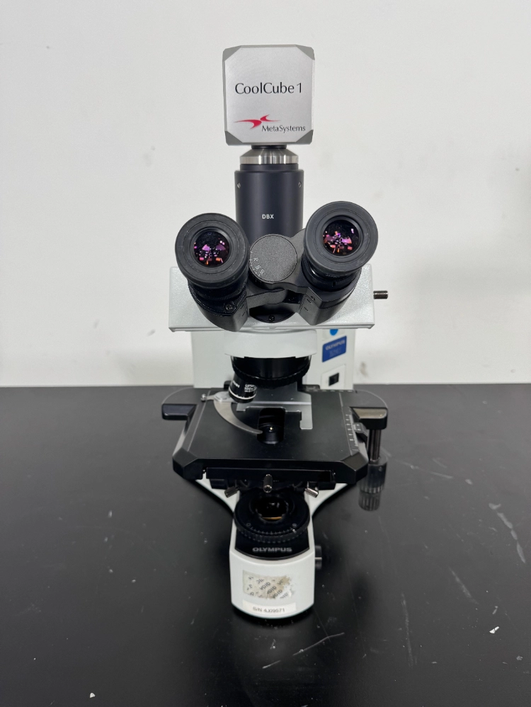 Olympus BX41TF Fluorescence Microscope