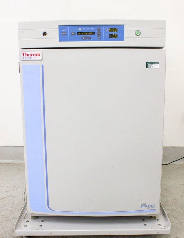 Thermo Scientific Forma Steri Cycle 370 CO2 Incubator 184 L Stainless Steel - 3374650