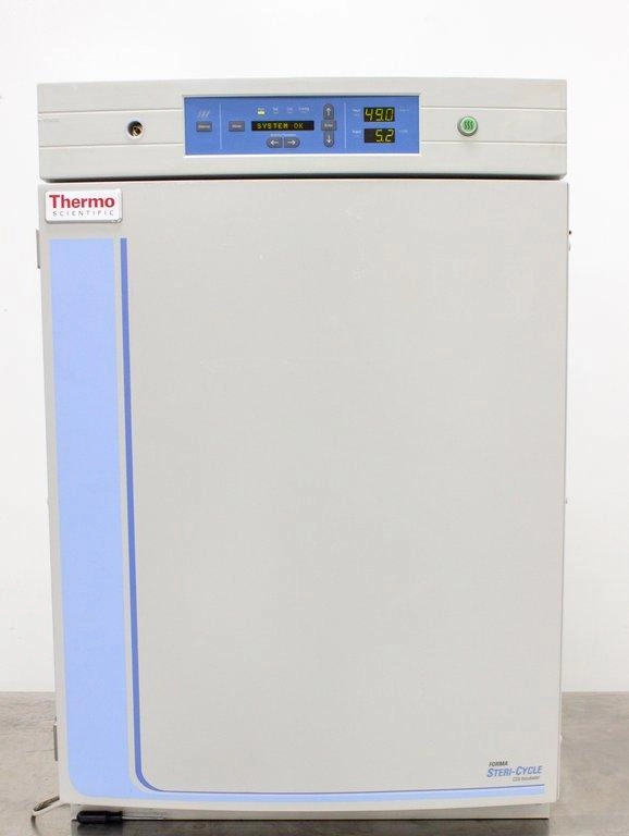 Thermo Fisher Scientific Forma Steri Cycle 370 CO2 Incubator 184L Polished Stainless Steel - 3374660