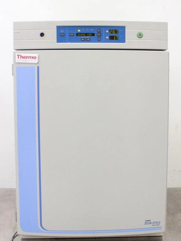 Thermo Fisher Scientific Forma Steri Cycle 370 CO2 Incubator - 184 L - 3374661