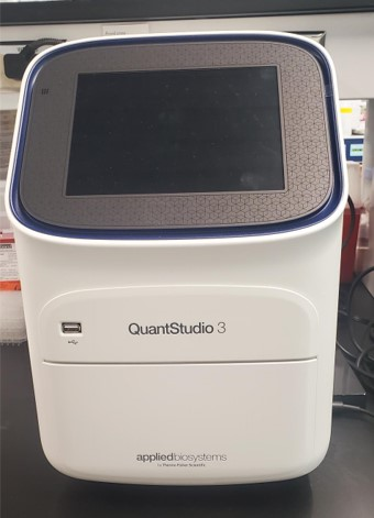 QuantStudio Real-Time PCR System