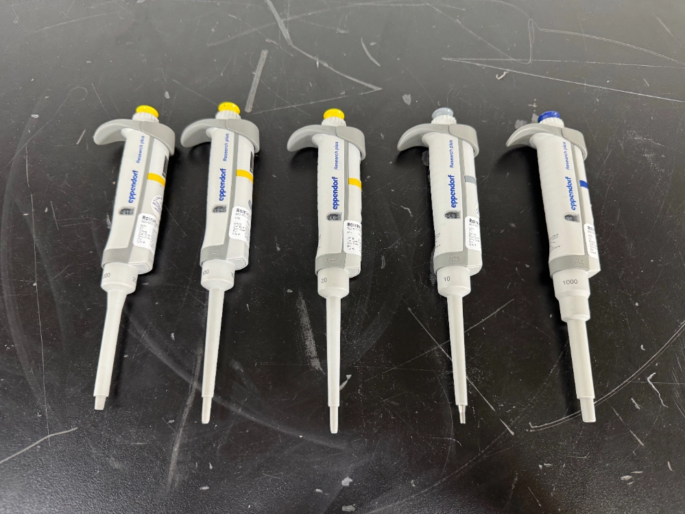 Eppendorf Research Plus Single Channel Pipettes - Quantity 5