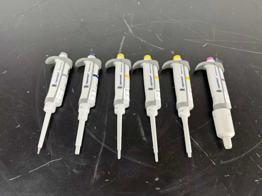 Eppendorf Research Plus Single Channel Pipettes - Quantity 6