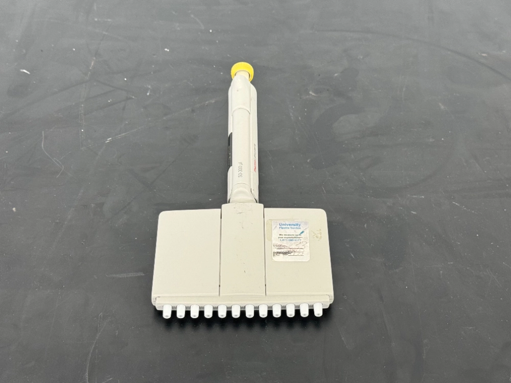 Thermo Finnpipette 300ul Multichanel Pipette