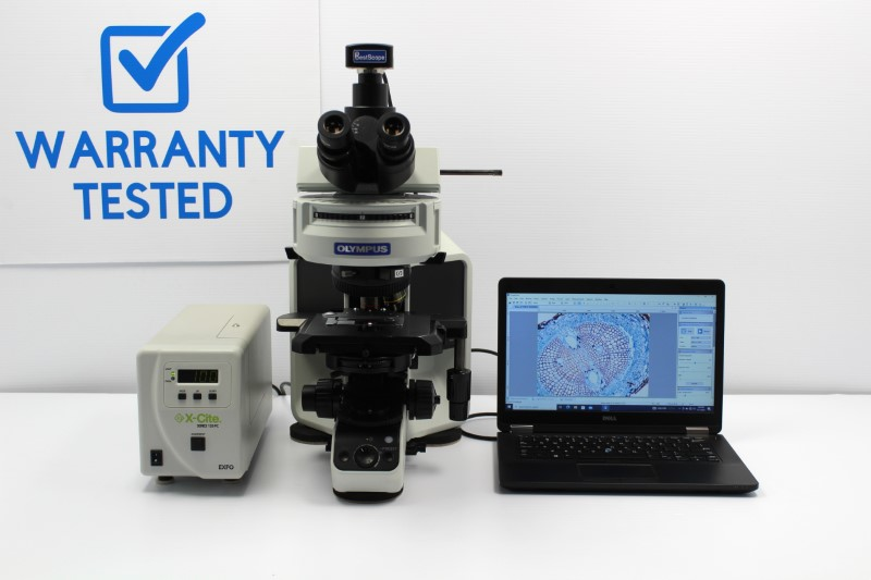 Olympus BX53 Upright Fluorescence Phase Contrast Microscope (New Filters)