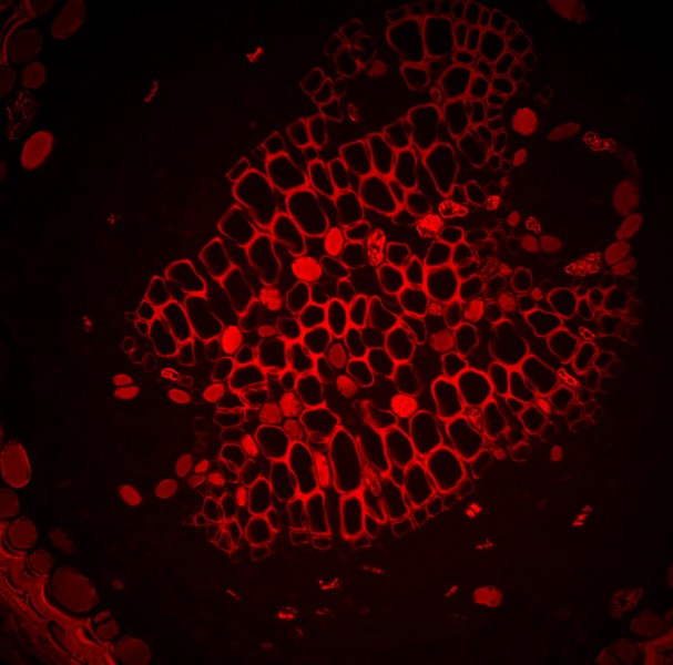 Thumbnail 11