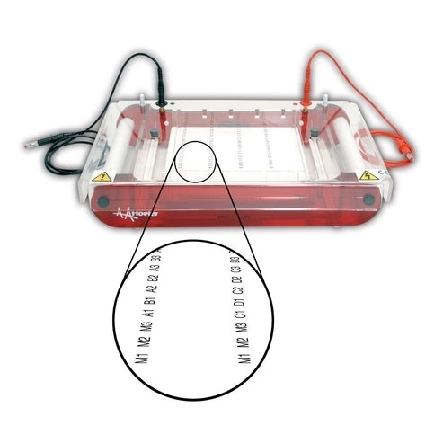 Hoefer SUBHT High Throughput Submarine Gel Electrophoresis Unit