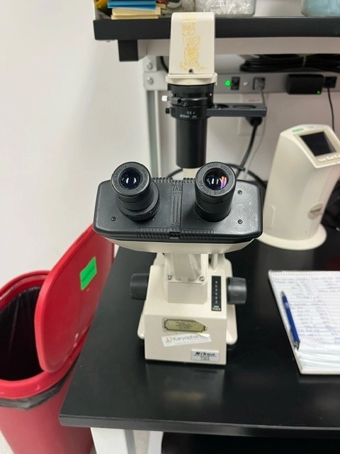 Nikon TMS Inverted Phase Contrast Microscope