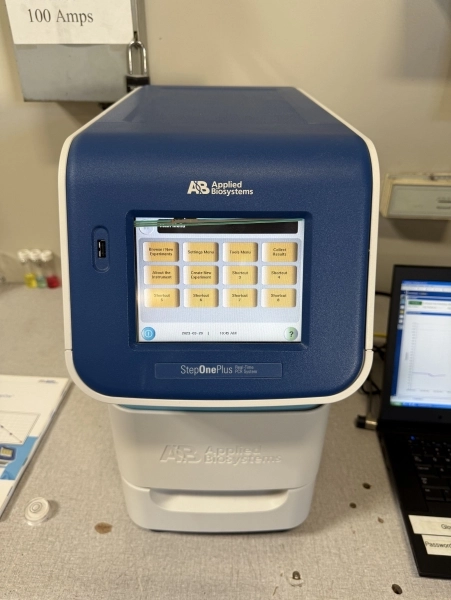 Applied Biosystems Step One Plus : Real-Time PCR System