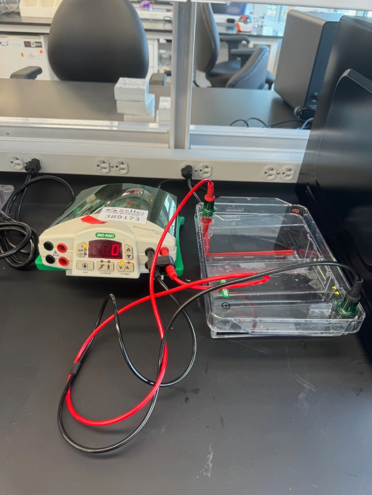 Bio-Rad PowerPac Basic Electrophoresis Power Supply