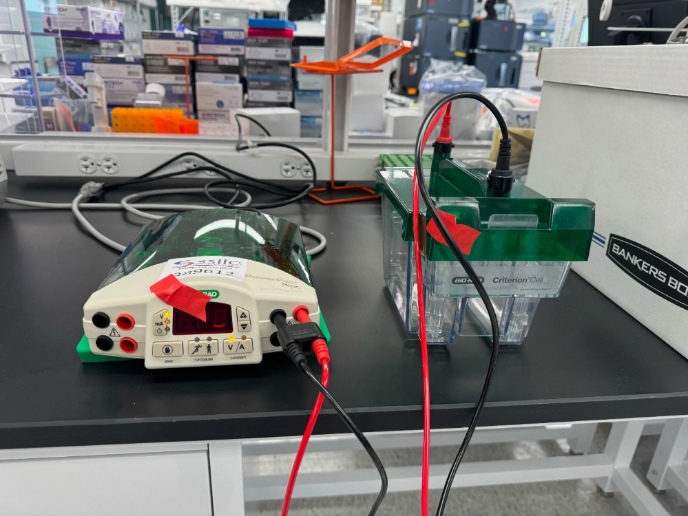 Bio-Rad PowerPac Basic Electrophoresis Power Supply