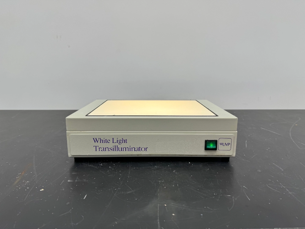 UVP White Light Transilluminater