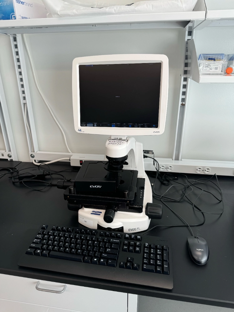 Life Technologies EVOS FL Fluorescence Microscope