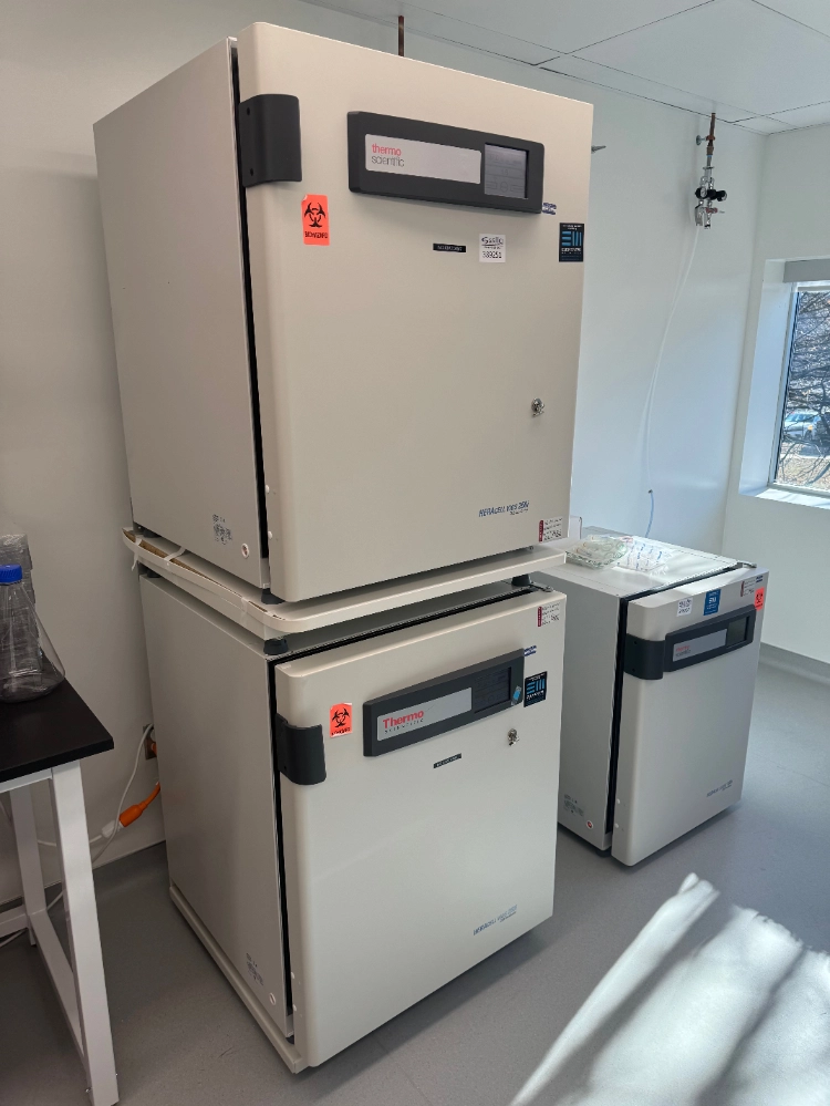 Thermo HERAcell Vios 250i Double Stack CO2 Incubator