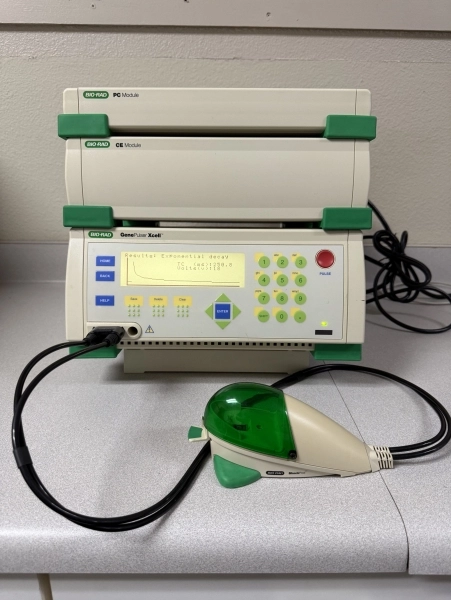 Gene Pulser Xcell Electroporation Systems