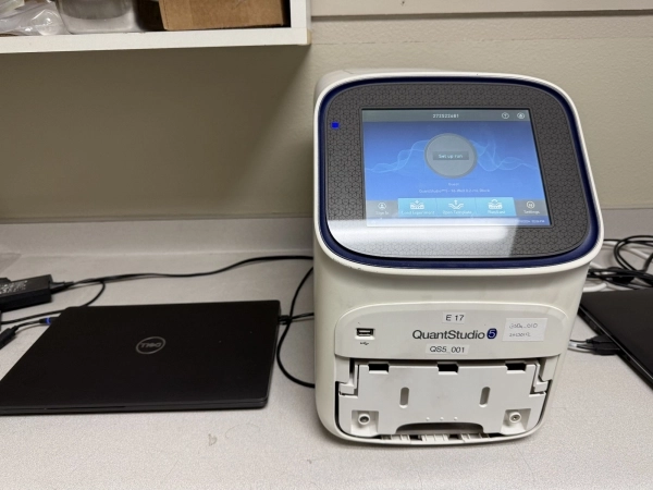 QuantStudio 5 Real-Time PCR System