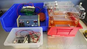 Lot 221 Listing# 1022727 Lot of Electrophoresis Equipment