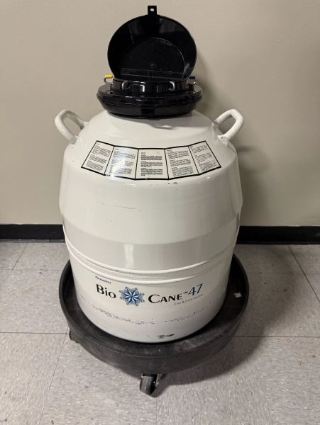 Thermo Thermolyne Bio Cane 47 Cryostorage System