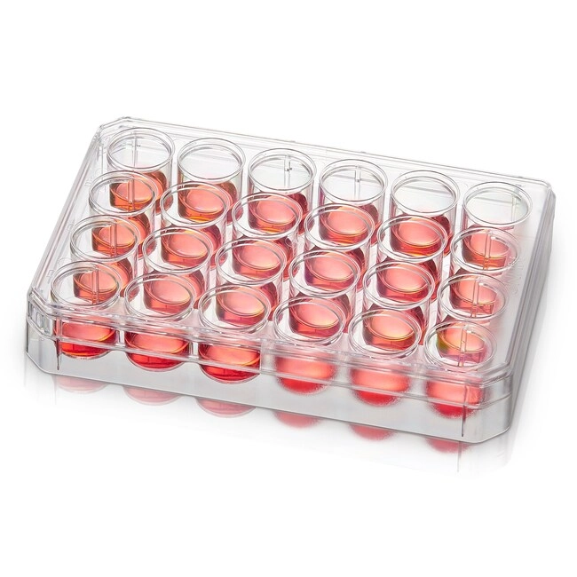 Nunc Non-Treated Multidishes