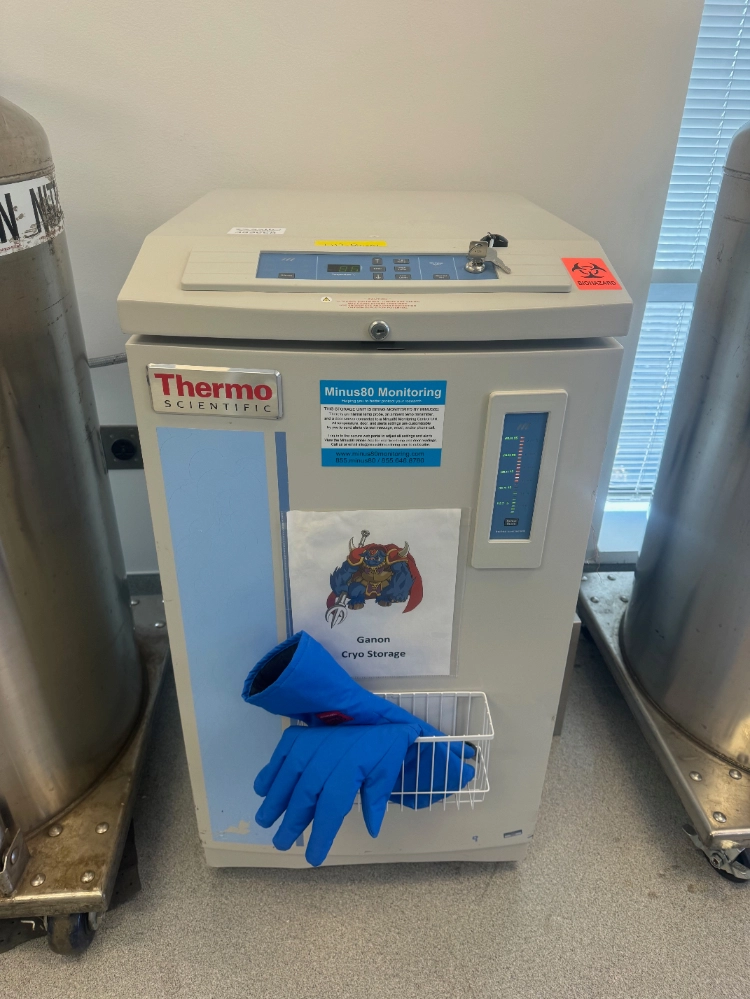Thermo CryoPlus Cryogenic Storage System